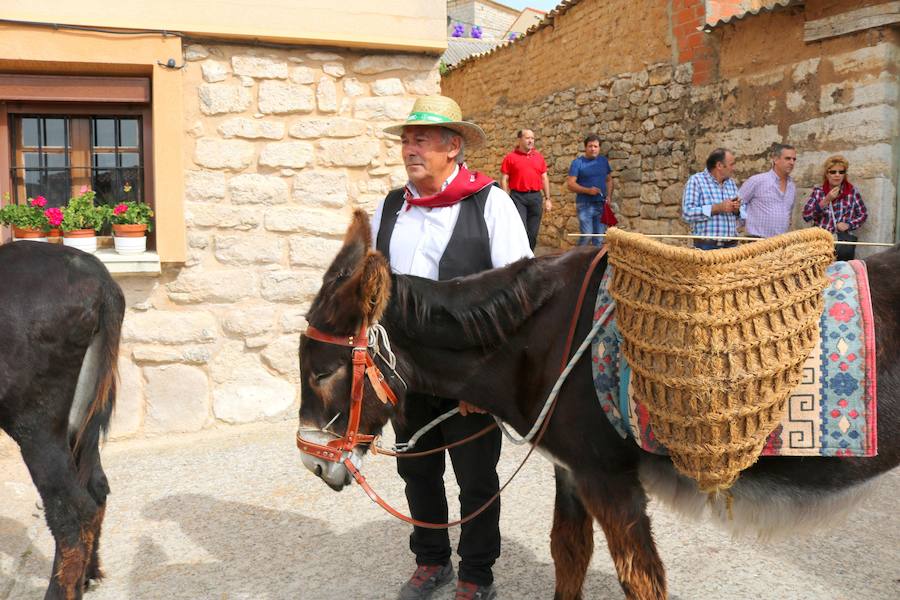 XX Fiesta de la Vendimia del Arlanza en Valdecañas de Cerrato (1/3)