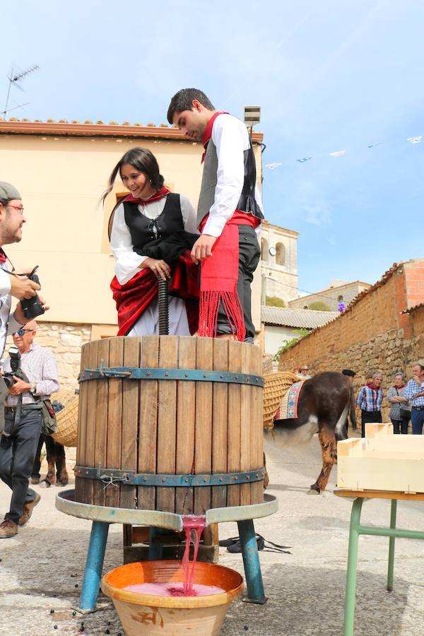 XX Fiesta de la Vendimia del Arlanza en Valdecañas de Cerrato (1/3)