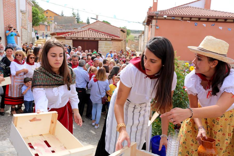 XX Fiesta de la Vendimia del Arlanza en Valdecañas de Cerrato (1/3)