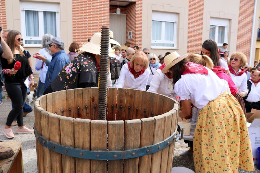 XX Fiesta de la Vendimia del Arlanza en Valdecañas de Cerrato (1/3)