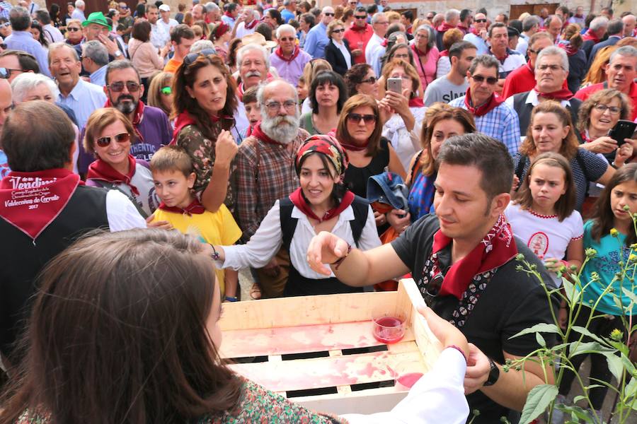 XX Fiesta de la Vendimia del Arlanza en Valdecañas de Cerrato (1/3)