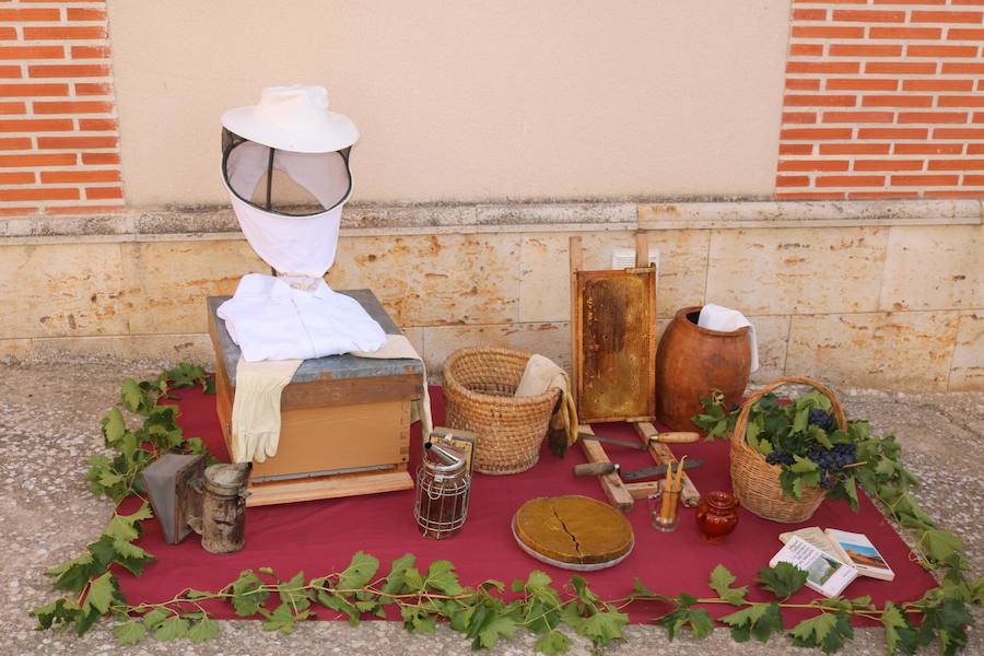 XX Fiesta de la Vendimia del Arlanza en Valdecañas de Cerrato (1/3)