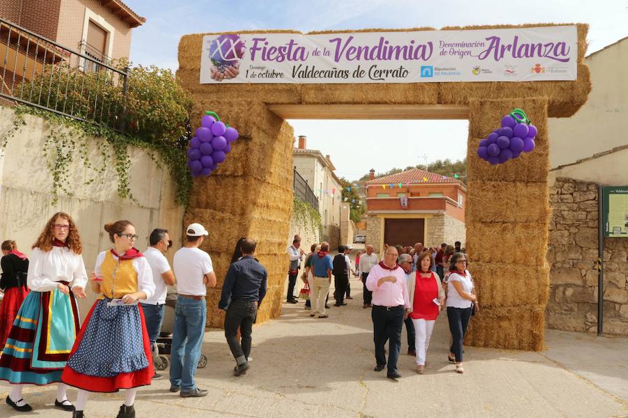XX Fiesta de la Vendimia del Arlanza en Valdecañas de Cerrato (2/3)