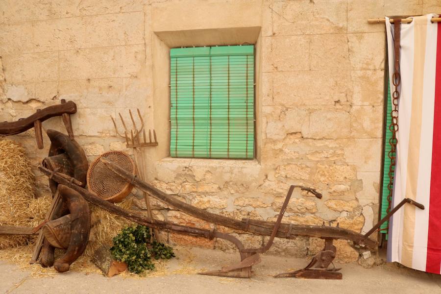 XX Fiesta de la Vendimia del Arlanza en Valdecañas de Cerrato (3/3)