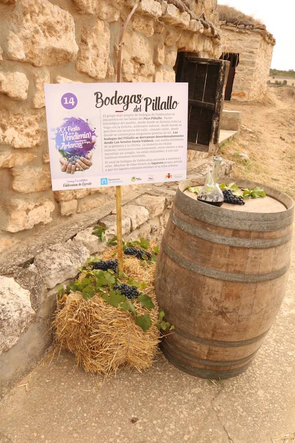 XX Fiesta de la Vendimia del Arlanza en Valdecañas de Cerrato (3/3)