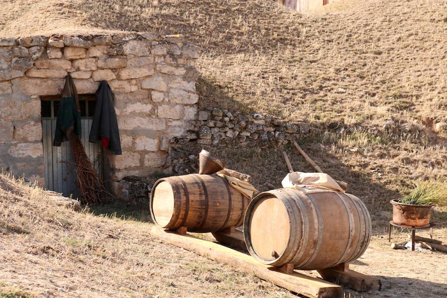 XX Fiesta de la Vendimia del Arlanza en Valdecañas de Cerrato (3/3)