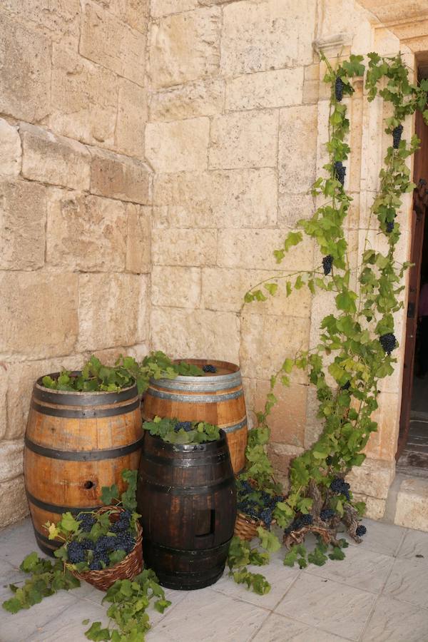 XX Fiesta de la Vendimia del Arlanza en Valdecañas de Cerrato (3/3)