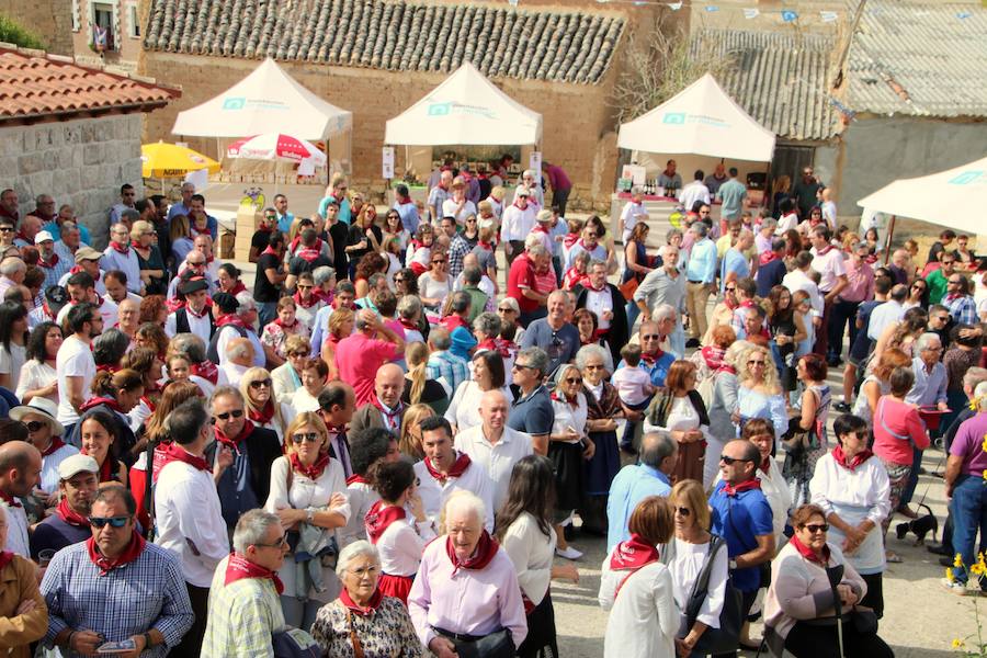 XX Fiesta de la Vendimia del Arlanza en Valdecañas de Cerrato (3/3)