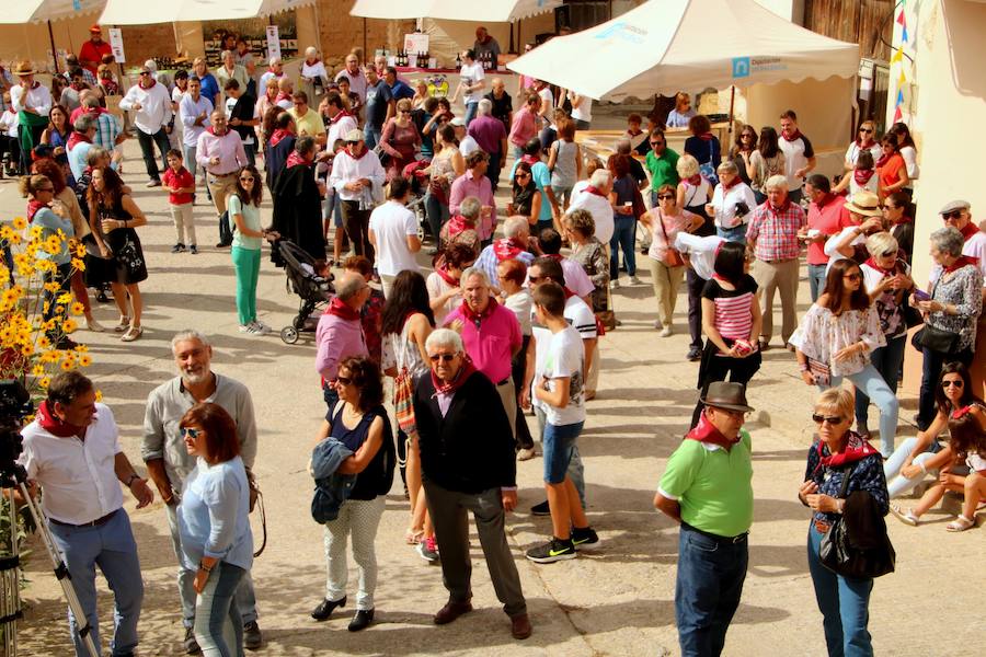 XX Fiesta de la Vendimia del Arlanza en Valdecañas de Cerrato (3/3)