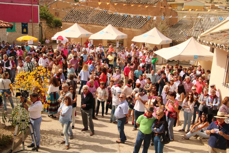 XX Fiesta de la Vendimia del Arlanza en Valdecañas de Cerrato (3/3)
