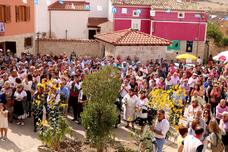 XX Fiesta de la Vendimia del Arlanza en Valdecañas de Cerrato (3/3)