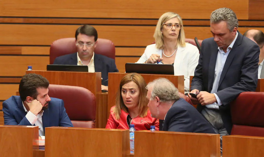 Pleno en las Cortes de Castilla y León