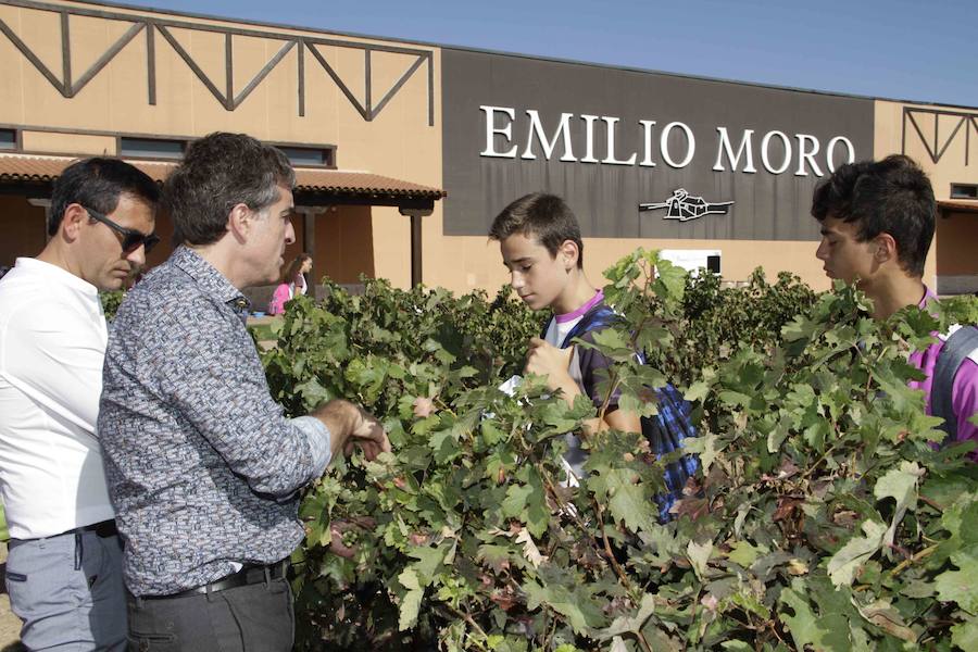 Durante la entrega de los galardones, los estudiantes participaron en distintas actividades de recreo y didácticas en un viñedo del grupo bodeguero familiar Emilio Moro, organizador del certamen