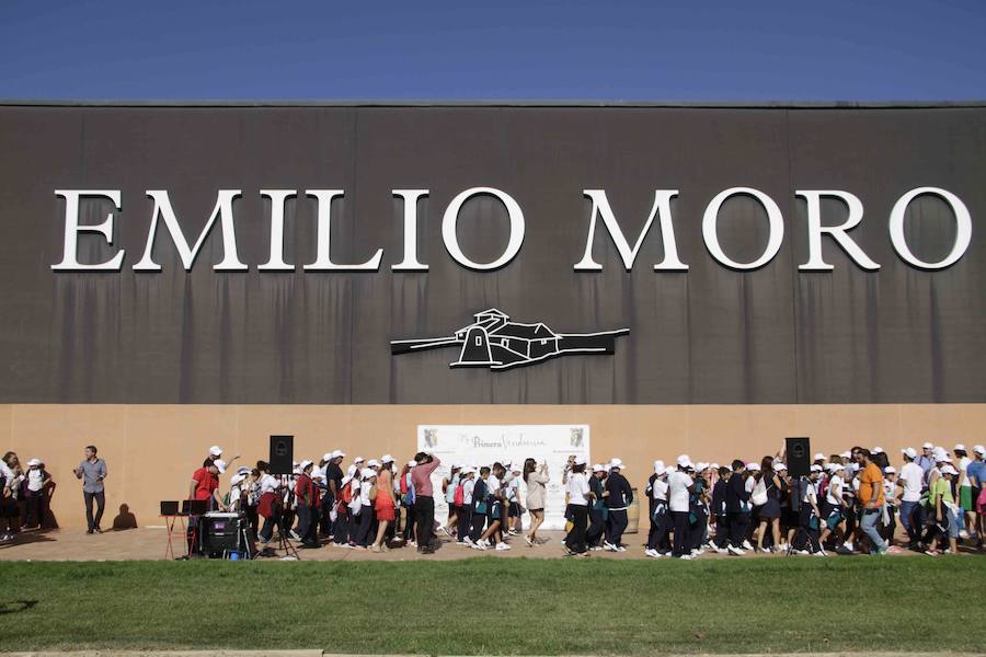 Durante la entrega de los galardones, los estudiantes participaron en distintas actividades de recreo y didácticas en un viñedo del grupo bodeguero familiar Emilio Moro, organizador del certamen