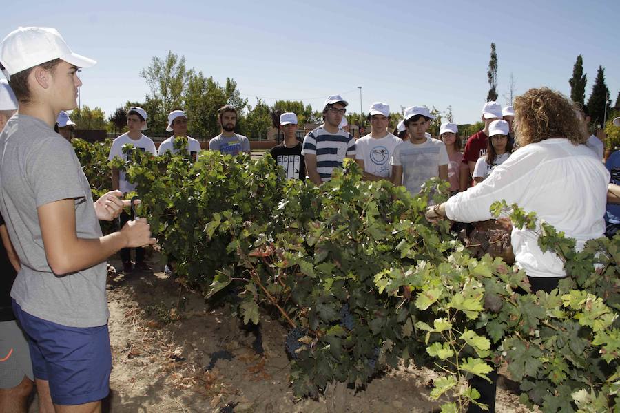 Durante la entrega de los galardones, los estudiantes participaron en distintas actividades de recreo y didácticas en un viñedo del grupo bodeguero familiar Emilio Moro, organizador del certamen