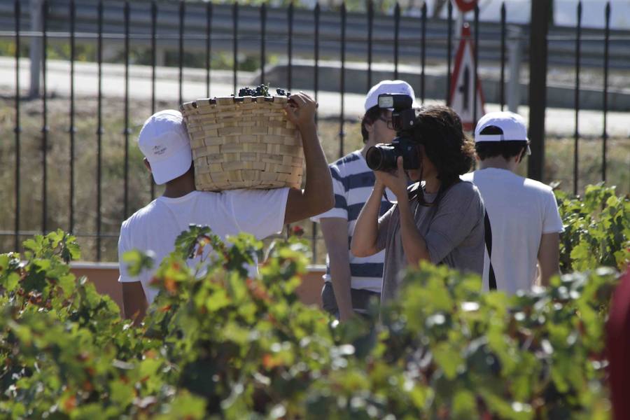 Durante la entrega de los galardones, los estudiantes participaron en distintas actividades de recreo y didácticas en un viñedo del grupo bodeguero familiar Emilio Moro, organizador del certamen