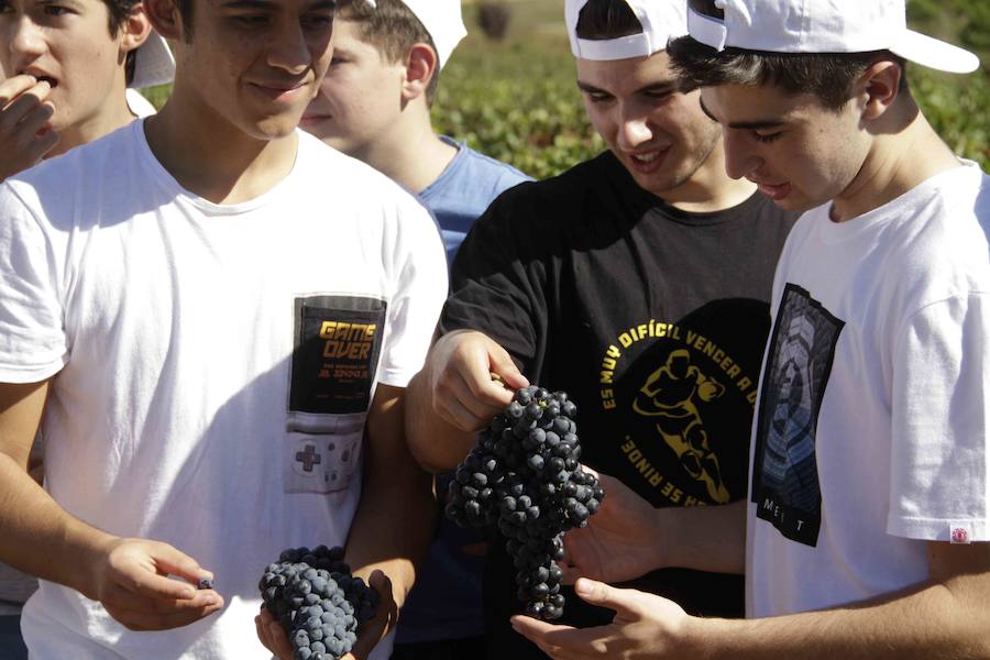 Durante la entrega de los galardones, los estudiantes participaron en distintas actividades de recreo y didácticas en un viñedo del grupo bodeguero familiar Emilio Moro, organizador del certamen