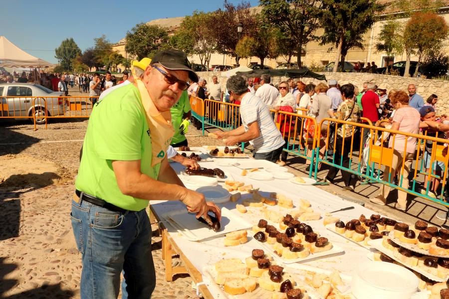 Feria de la Cebolla en Palenzuela