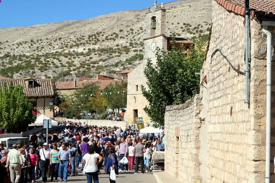 Feria de la Cebolla en Palenzuela