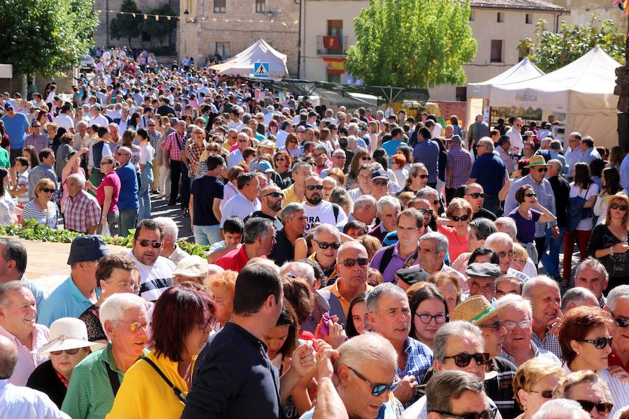 Feria de la Cebolla en Palenzuela