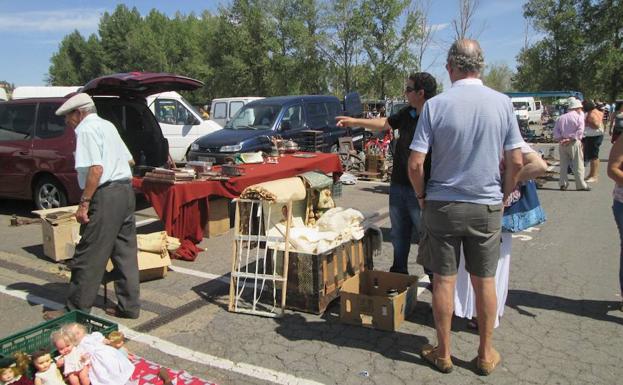 La Policía Local de Salamanca se incauta de cangrejos, jilgueros, patatas y ajos en el Rastro