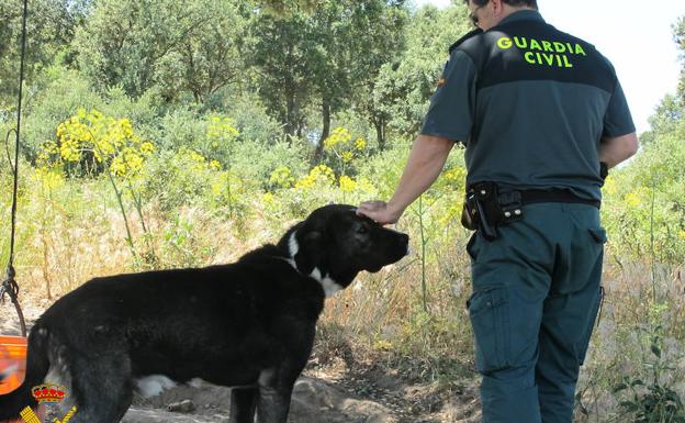 Un guardia civil acaricia a un perro. 