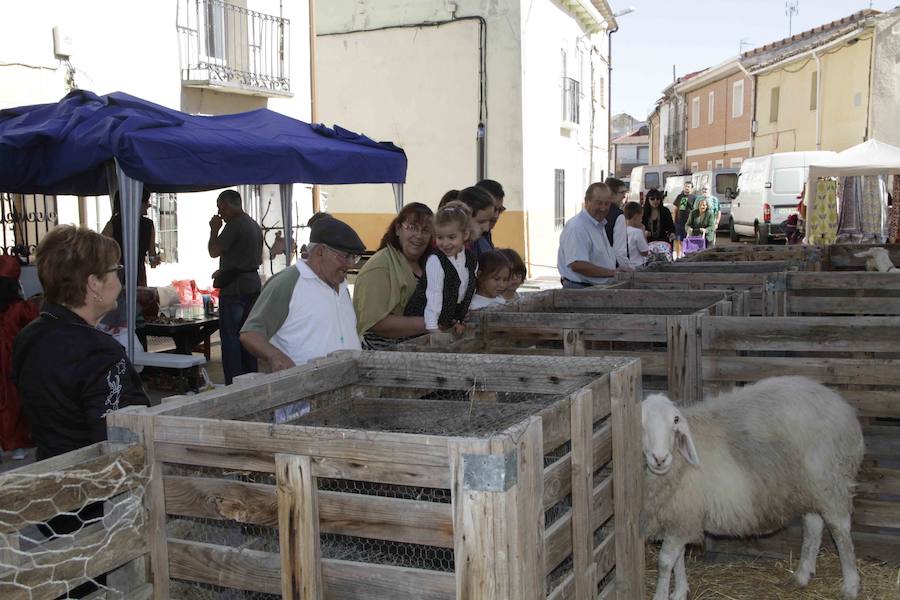 Mercado Medieval en Quintanilla de Onésimo