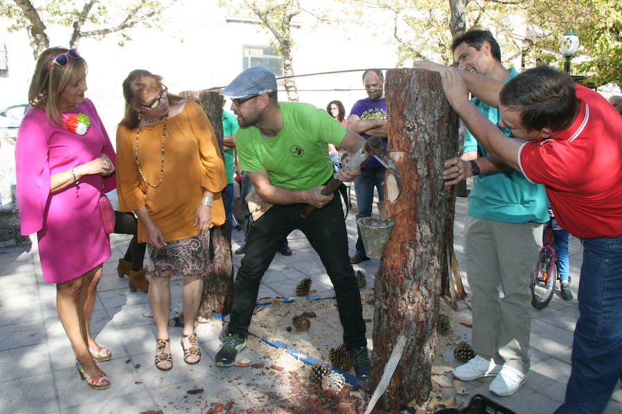 Fiesta de la resina en Cuéllar