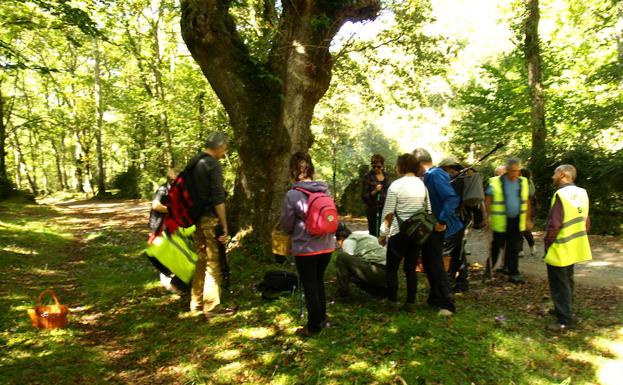 Un grupo de personas preparado para iniciar una reocogida de setas en un monte. 