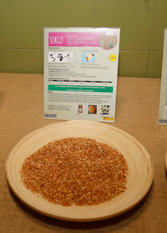 Los panaderos, el Centro Tecnológico del Cereal, El Norte de Castilla y la Diputación se unen para difundir las propiedades alimenticias del pan artesano que se elabora en la provincia