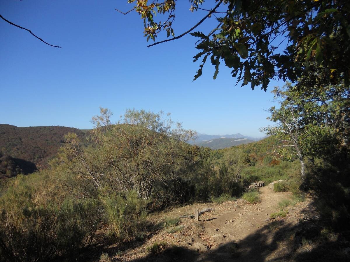 La ruta parte de la localidad de Santa María de Redondo, siguiendo el curso del río Pisuerga, hasta llegar a la magestuosa cueva de Fuente Cobre