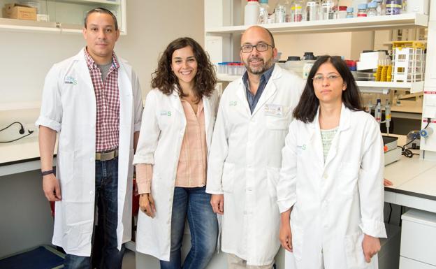 Científicos españoles descubren una molécula que servirá para luchar contra la esclerosis múltiple