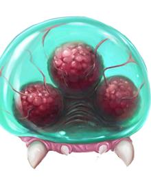 Imagen secundaria 2 - Una leyenda con sabor patrio