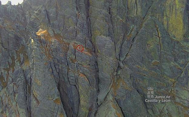 Imagen del lugar del suceso tomada desde el helicóptero. Señalado con un círculo rojo, el herido.