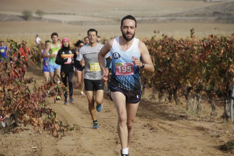 Carrera en Pesquera de Duero del circuito Entre Viñas (1/2)