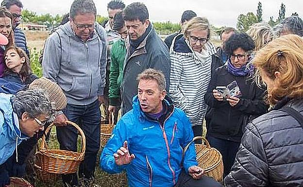 Fuenterrebollo echa el lazo a 26 especies de setas