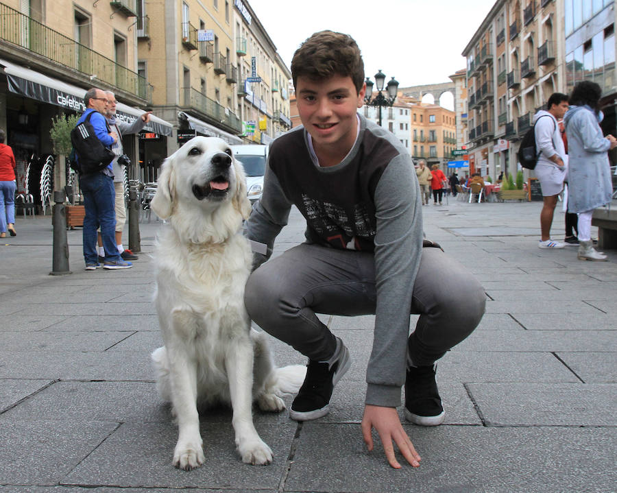 Segovia celebra el Día Mundial de los Animales