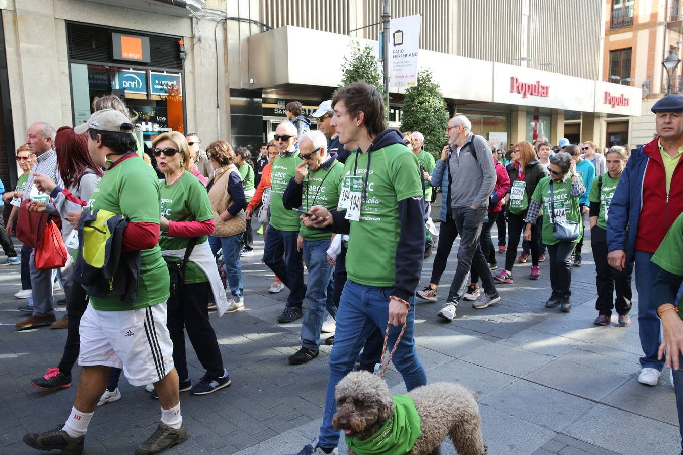 Miles de vallisoletanos se han vestido hoy de verde para salir a la calle en una marcha histórica