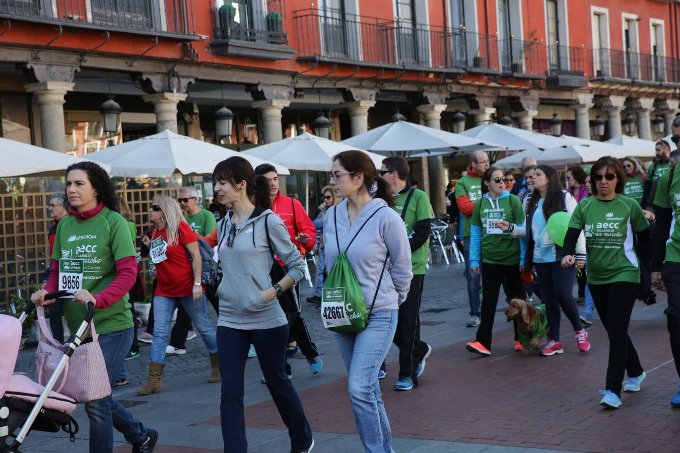 Miles de vallisoletanos se han vestido hoy de verde para salir a la calle en una marcha histórica