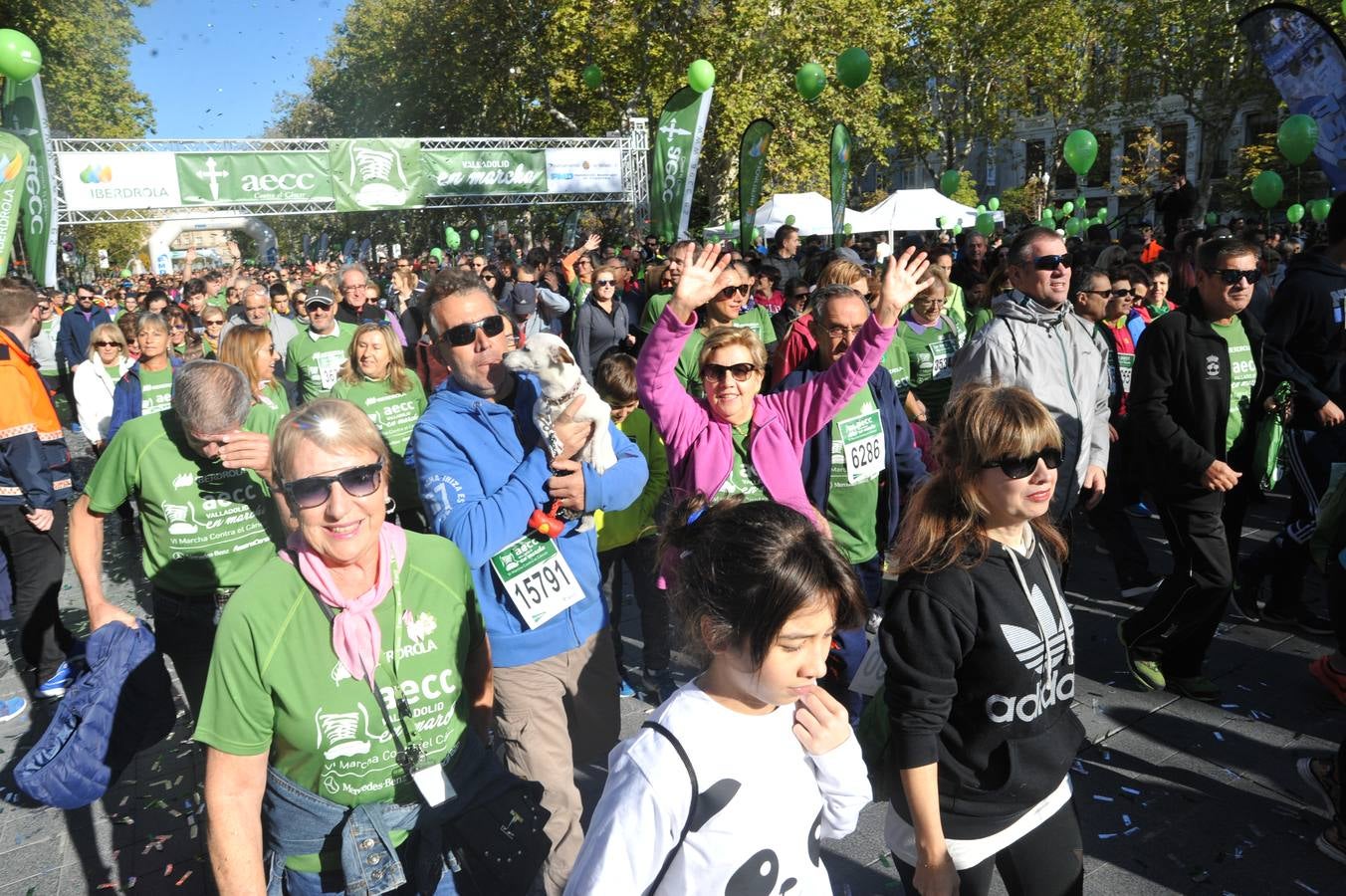 Miles de vallisoletanos se han vestido hoy de verde para salir a la calle en una marcha histórica