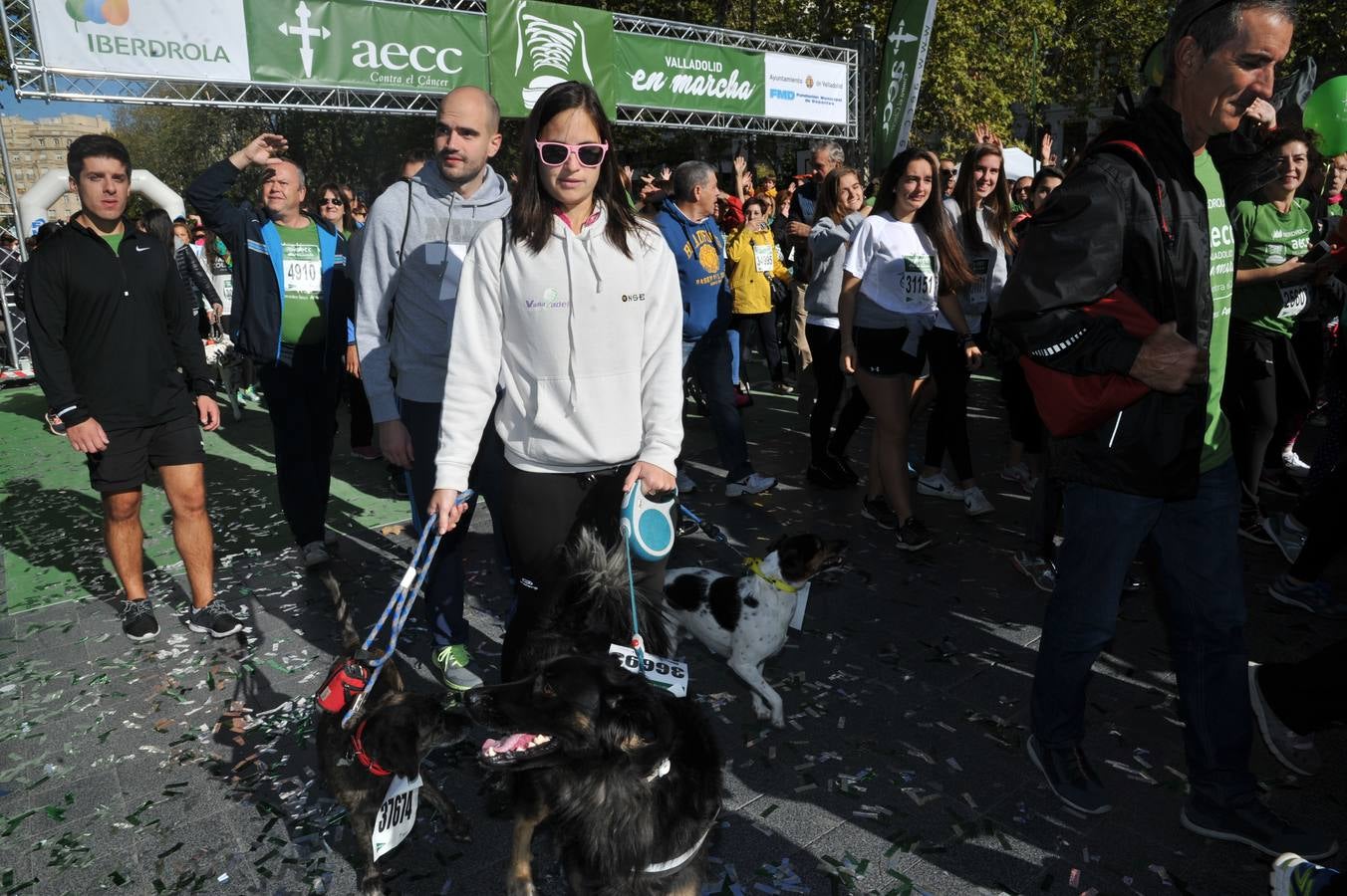 Miles de vallisoletanos se han vestido hoy de verde para salir a la calle en una marcha histórica