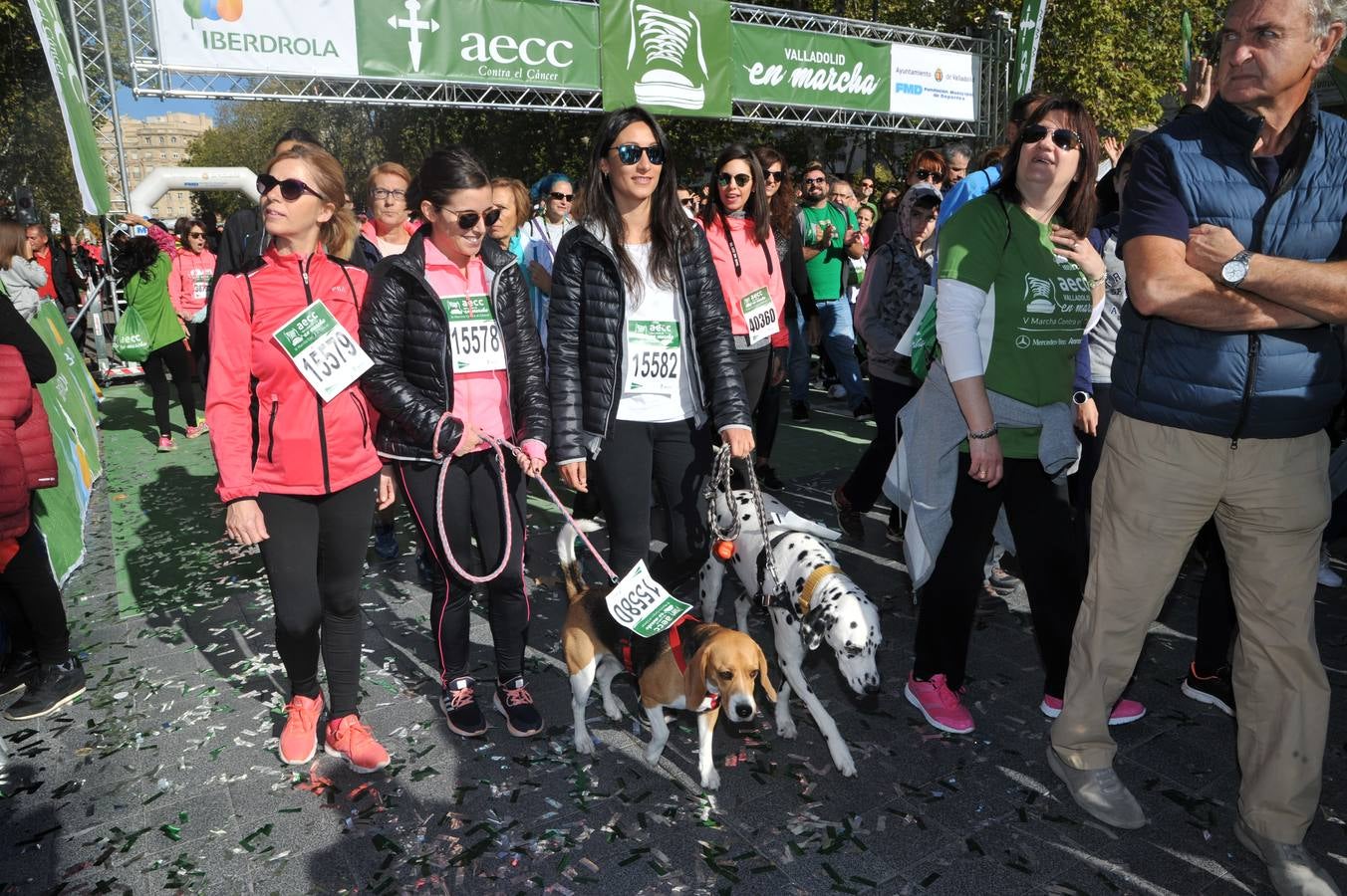 Miles de vallisoletanos se han vestido hoy de verde para salir a la calle en una marcha histórica