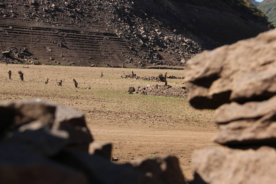 Barrios de Luna desaparece