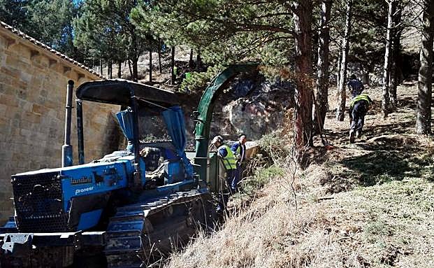 Los operarios de la Diputación trabajan en el cerro del castillo. 