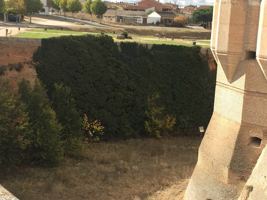 El castillo de Coca necesita una restauración