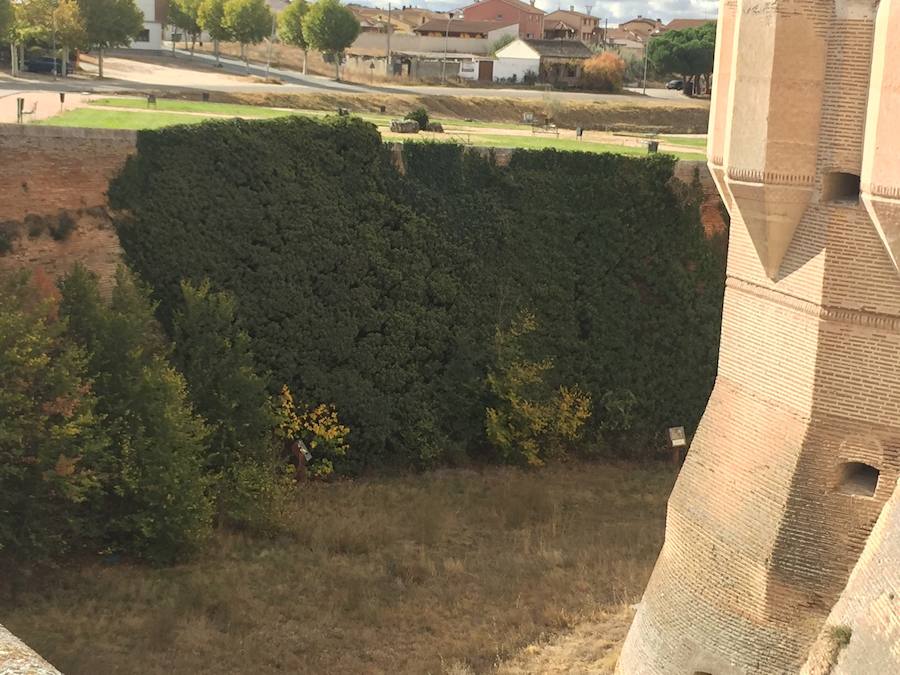 El castillo de Coca necesita una restauración