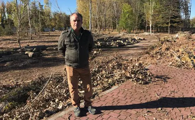 Pellicer en una de las zonas del río donde se están talando los árboles. 