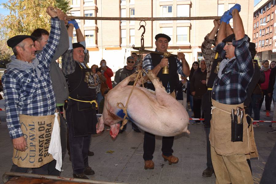 Fiesta de la matanza en Guardo