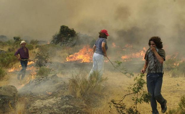 Las llamas asolan el campo salmantino en uno de los habituales incendios estivales.