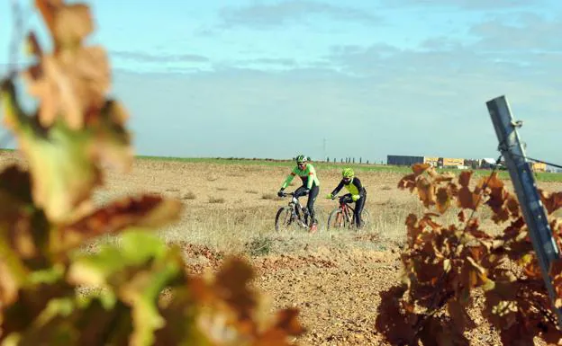 Dos aficionados a la bici disfrutan de los paisajes otoñales que ofrece este triángulo de oro de la Ruta del Vino de Rueda.